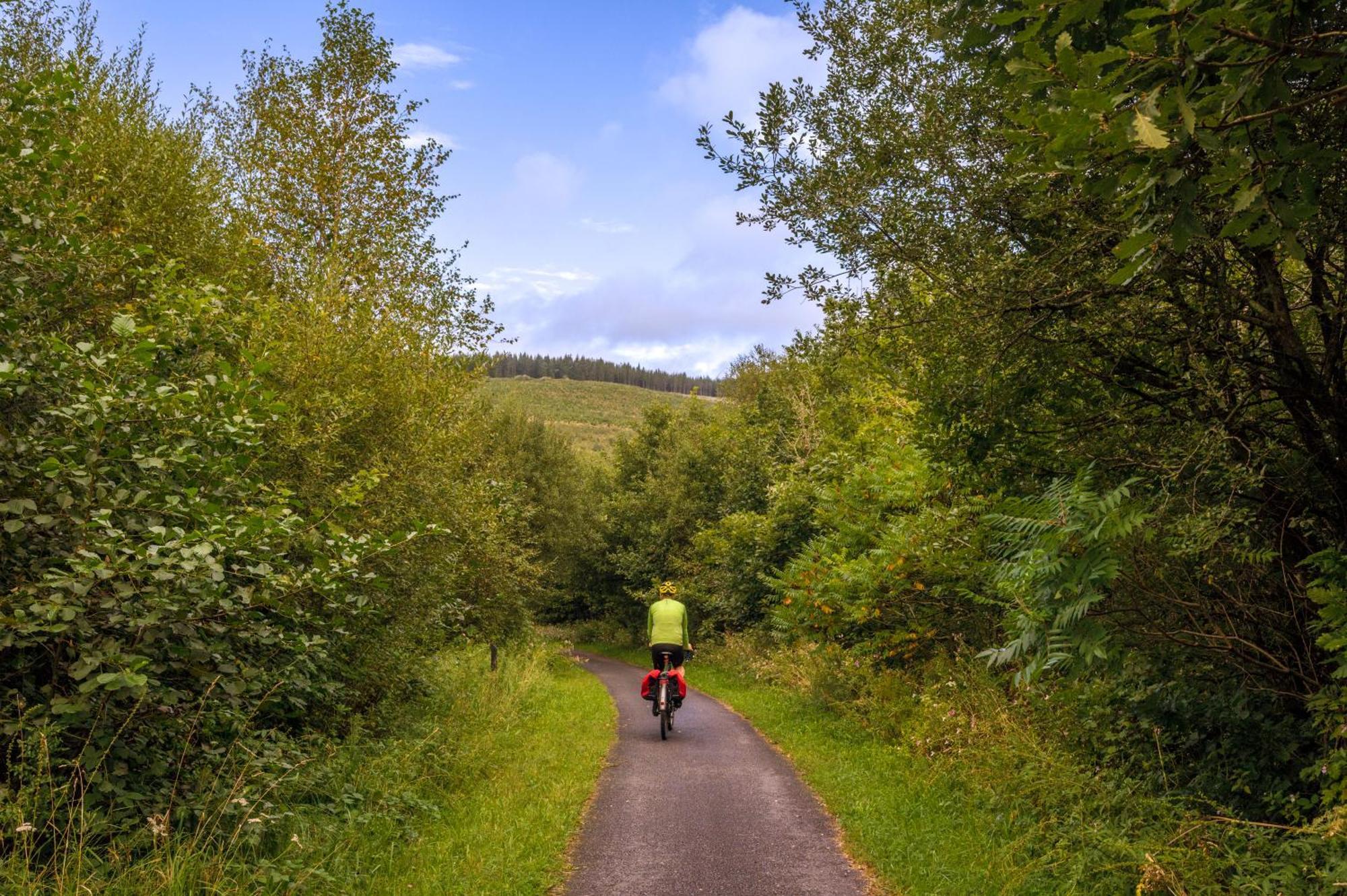 Afan Forest Retreat Cozy Getaway, Pet Friendly Cymmer Εξωτερικό φωτογραφία